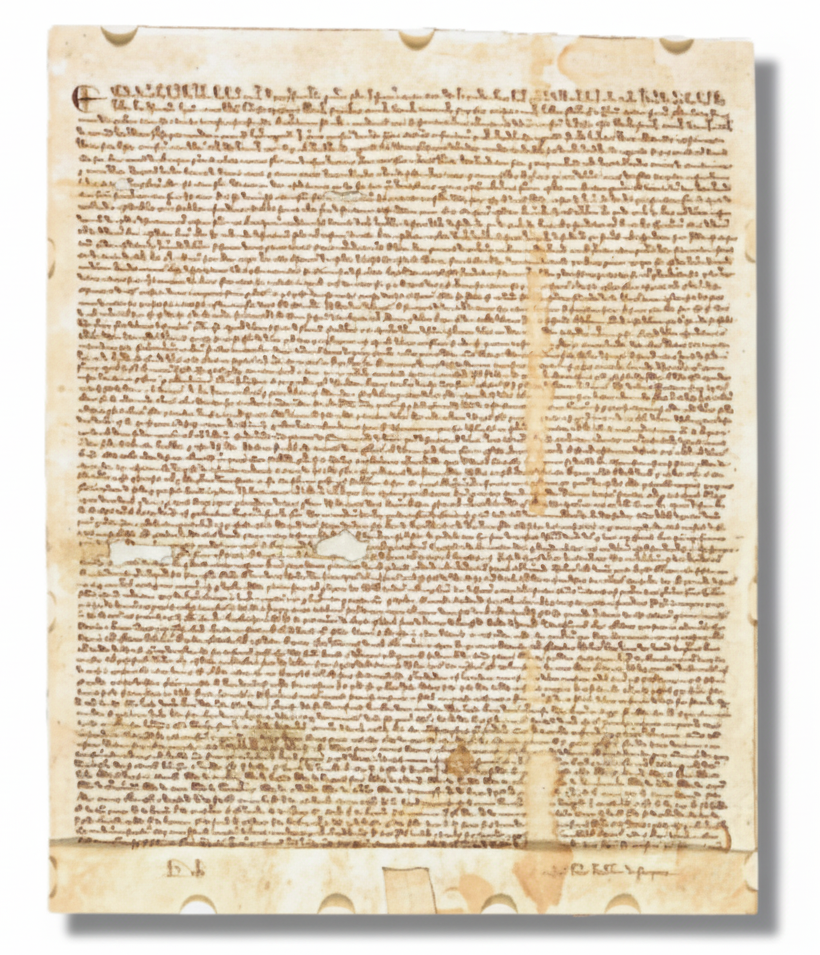 Magna Carta - Copie acquise en 2007